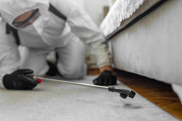 Professional Termite Control technician working in Silverton, OH