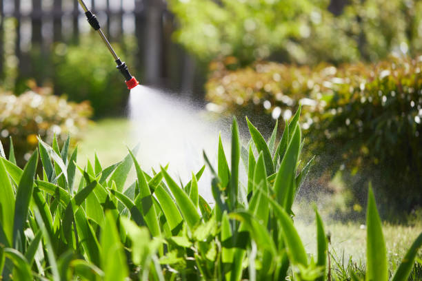 24/7 Emergency Termite Control experts in Silverton, OH