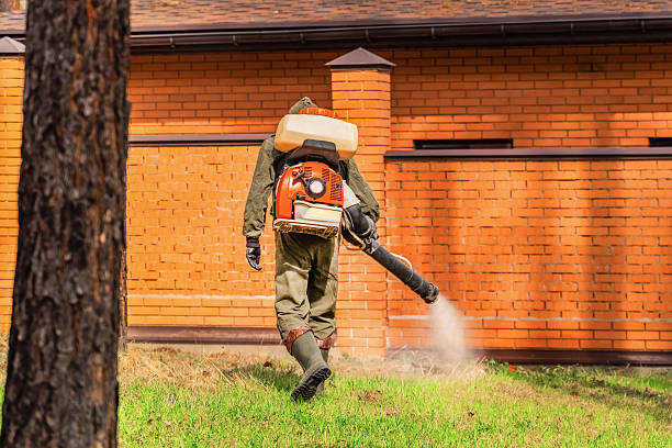 Top rated local Termite Control specialists in Silverton, OH